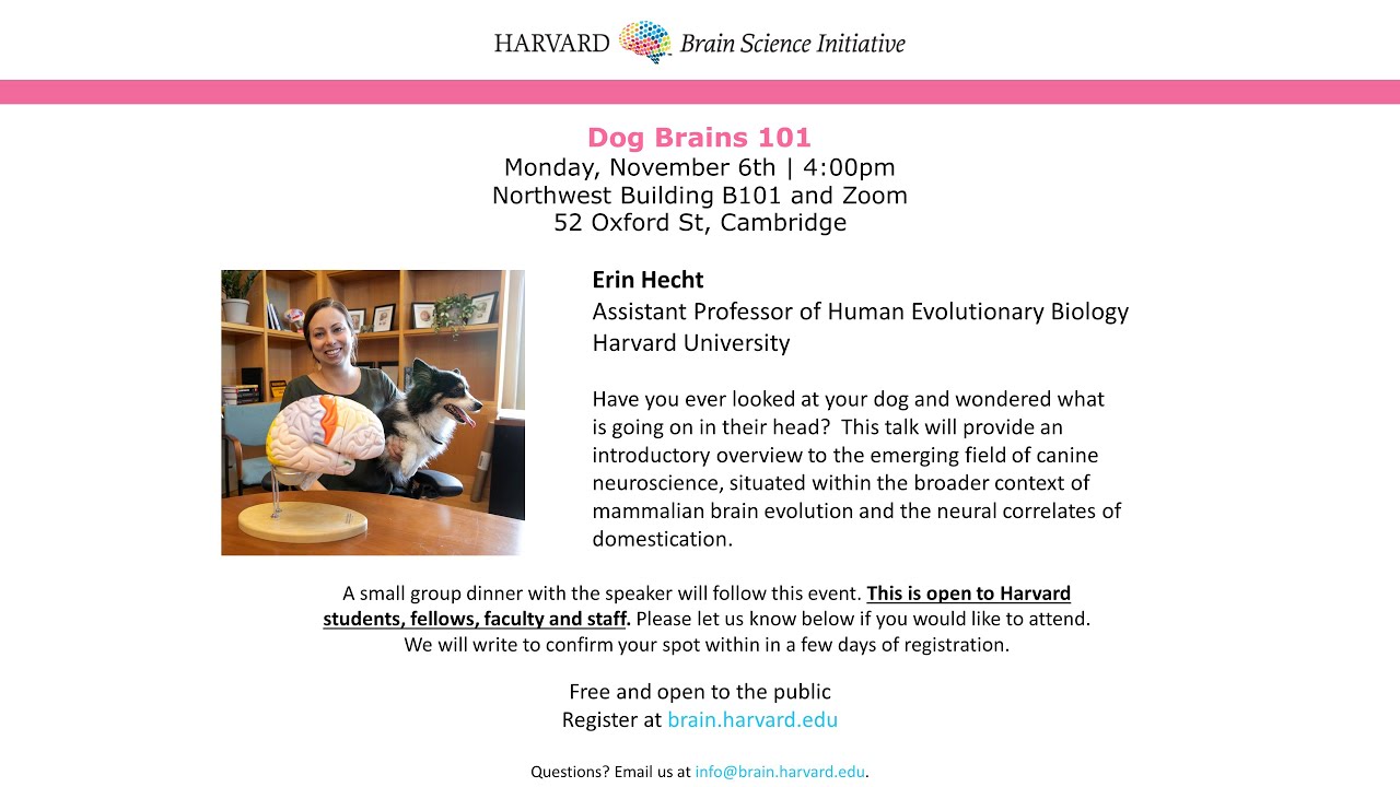Dog Brains 101