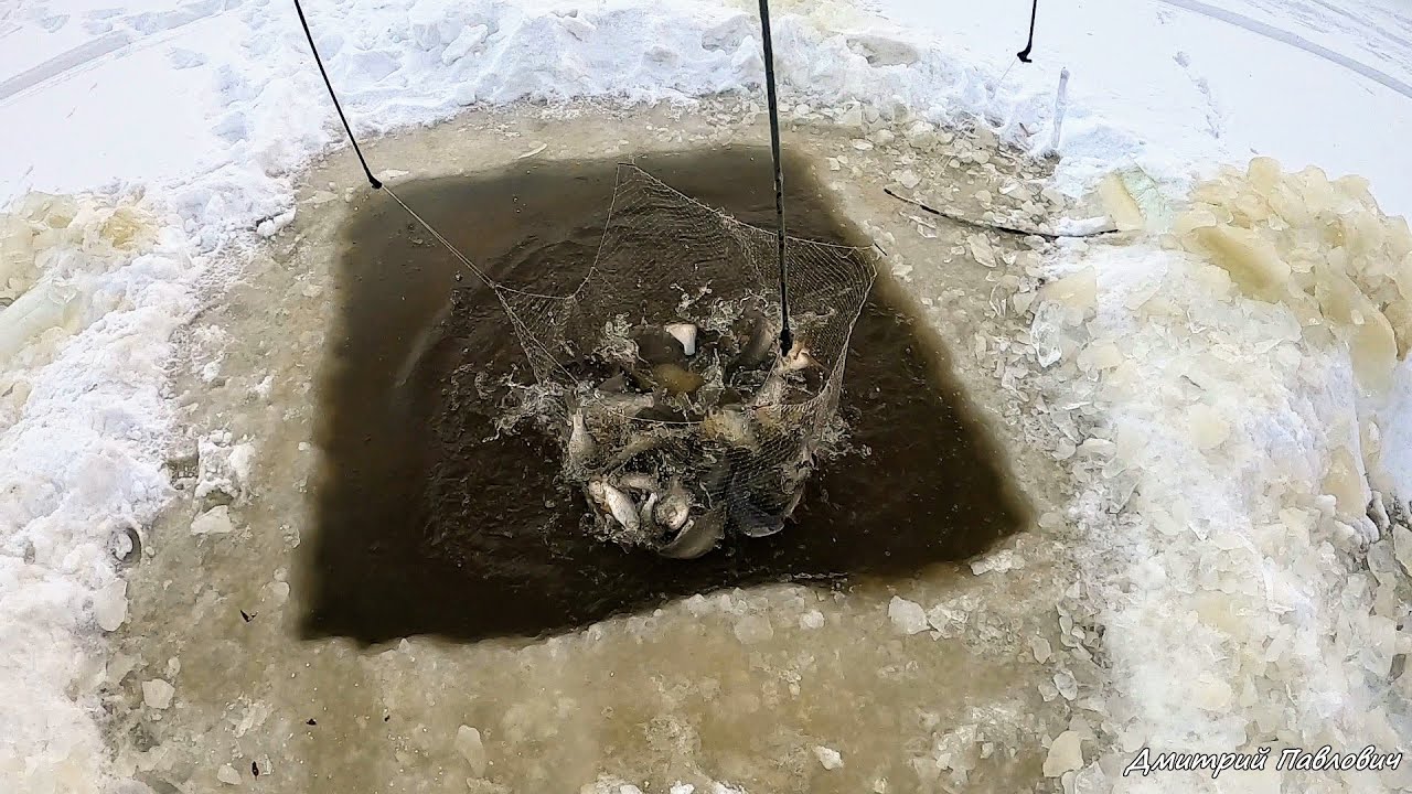 НАШЁЛ СКОПЛЕНИЕ РЫБЫ!ПАУК ТРЕЩИТ ПО ШВАМ!НЕ МОГУ ПОДНЯТЬ ЕГО ИЗ ВОДЫ! ЯЗЬ,САЗАН,ЛЕЩ!Рыбалка на паук!