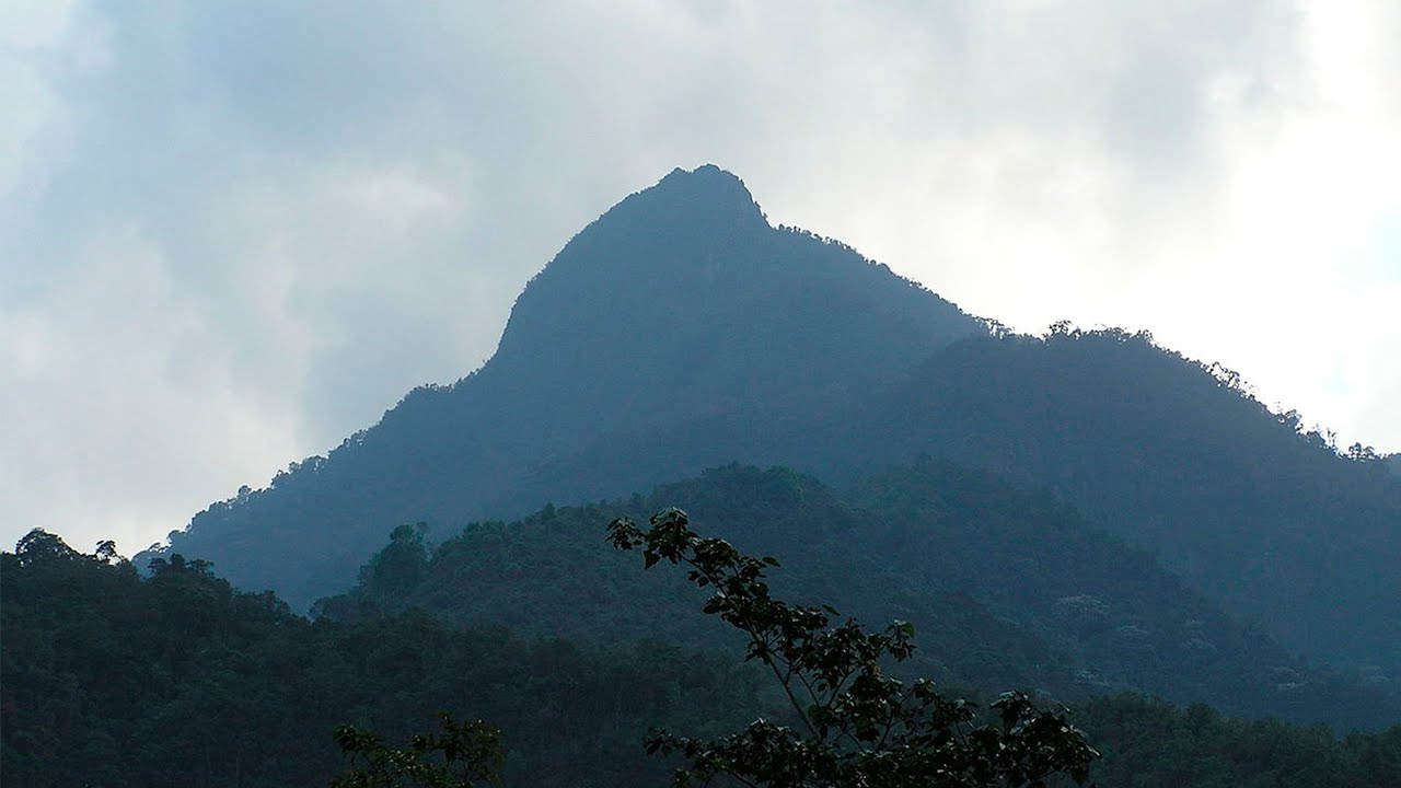 Subida a pico de loro cali - colombia