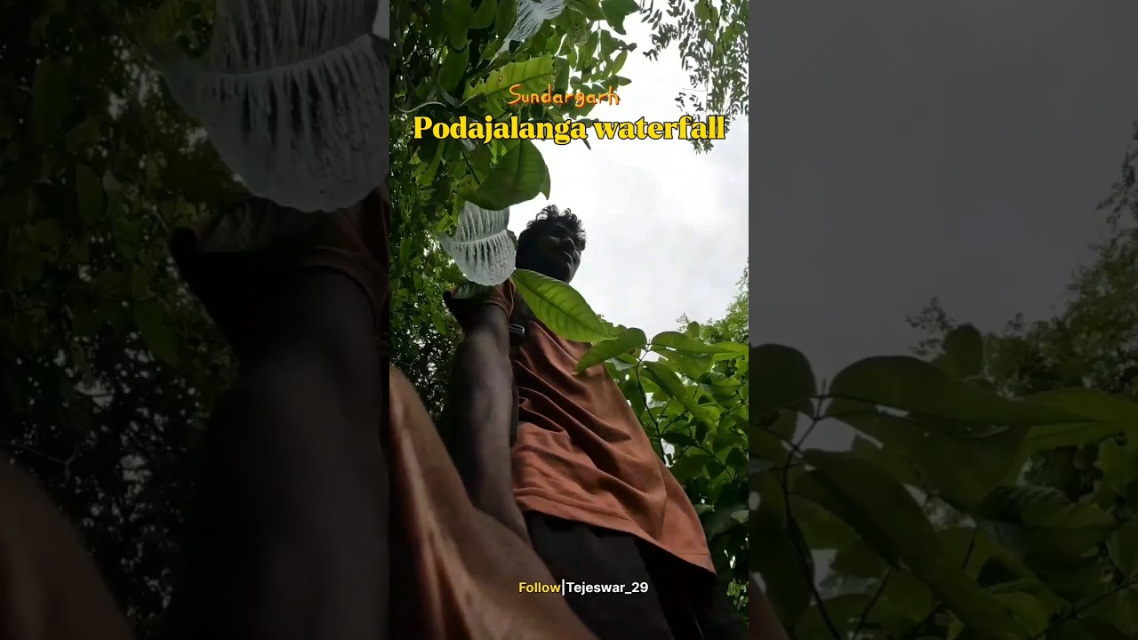 Podajalanga waterfall Sundargarh #sundargarh #waterfall #sundargarhdistrict #youtubeshorts #travel