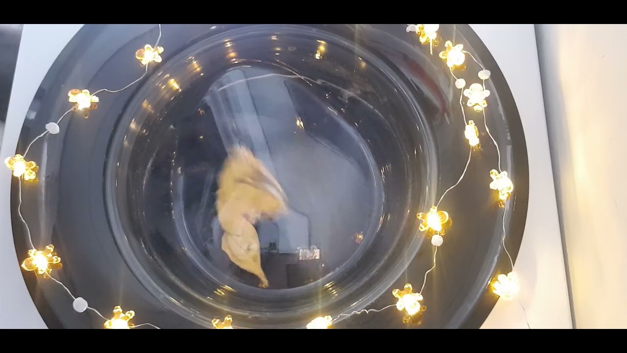 ASMR Christmas Washing Machine #7