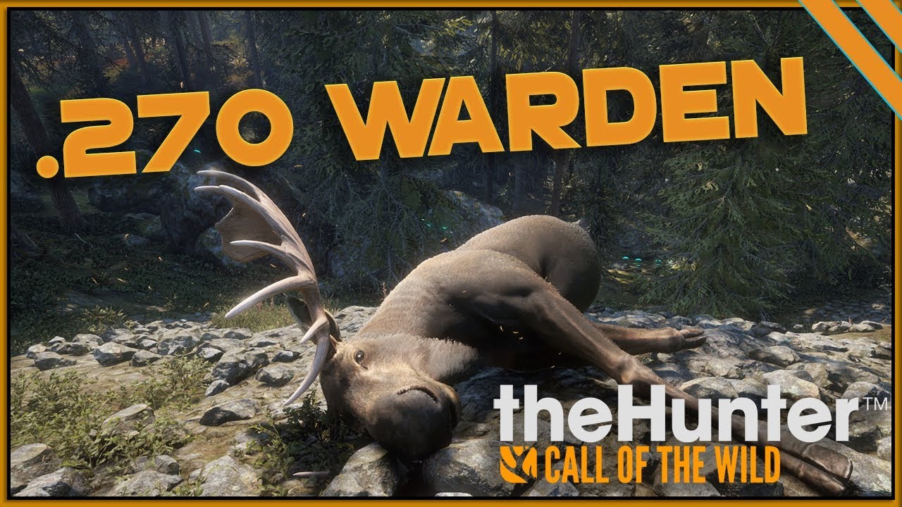 Call Of The Wild - .270 WARDEN