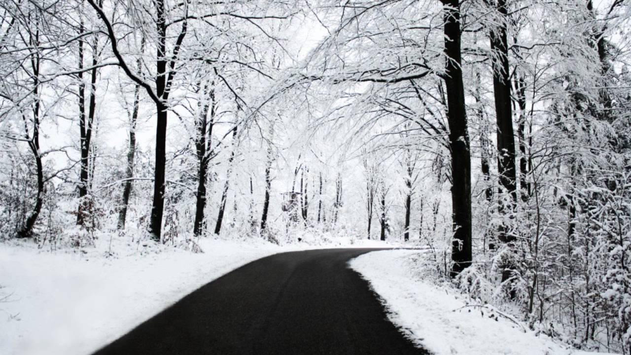 B-Complex: Winter
