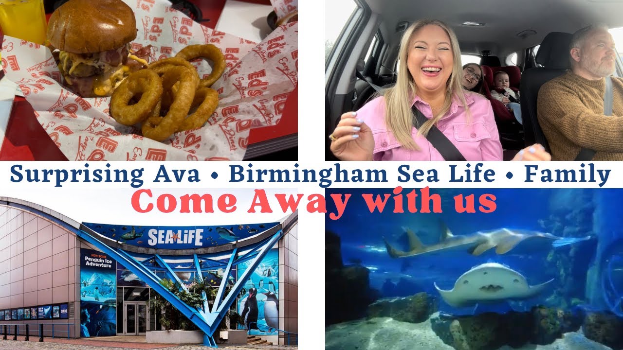 Ava's 7th Birthday in Birmingham | Sea Life | Surprise | Day 1