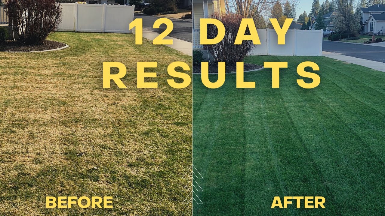 Bio Stimulants WILL Transform Your Lawn