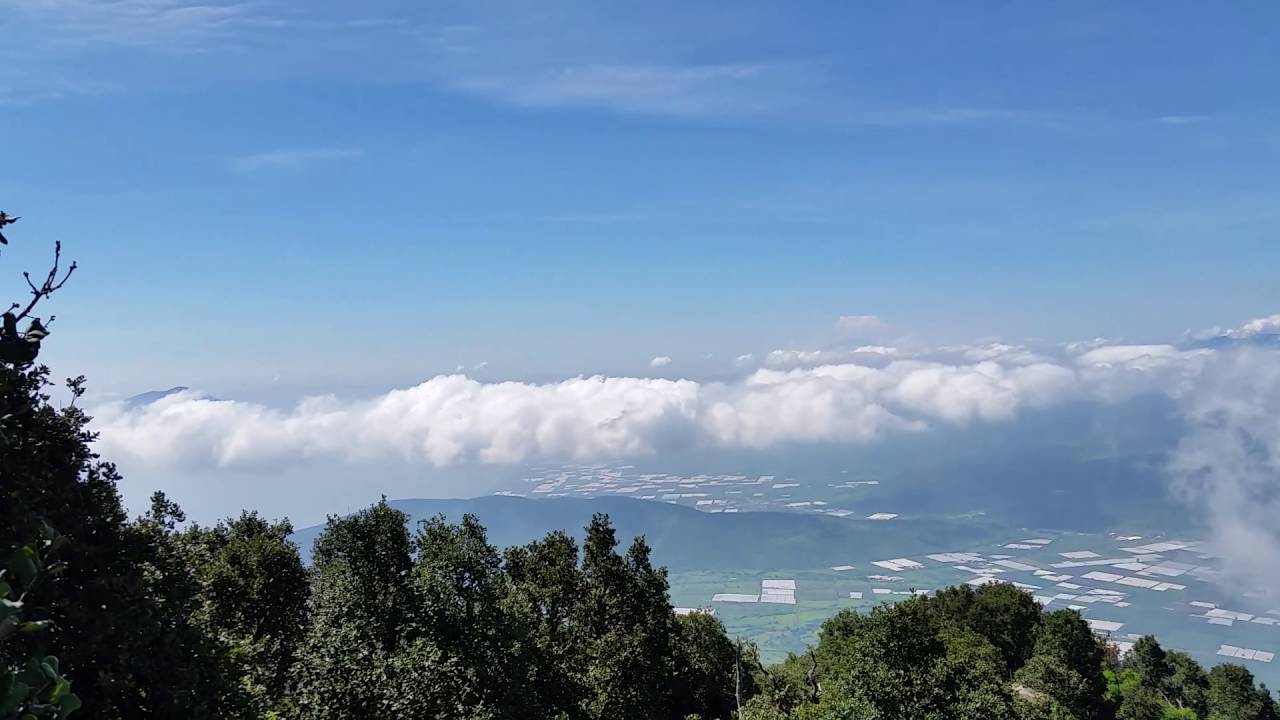 Cima de cerro viejo, jalisco.