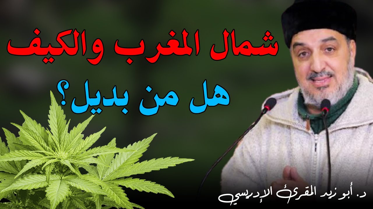 شمال المغرب والكيف.. هل من بديل؟ || د. أبو زيد المقرئ الإدريسي