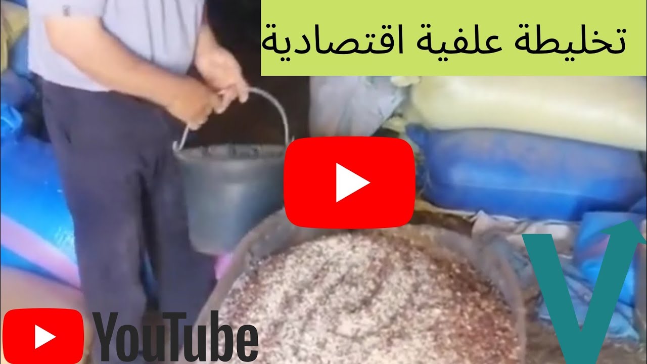 تخليطة ديال العلف ساهلة ومفيدة للخرفان 👌👌.