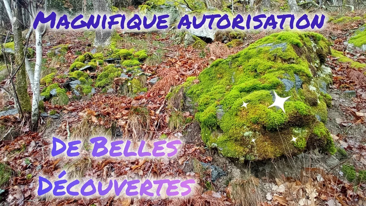 Belle sortie Detect Nature 