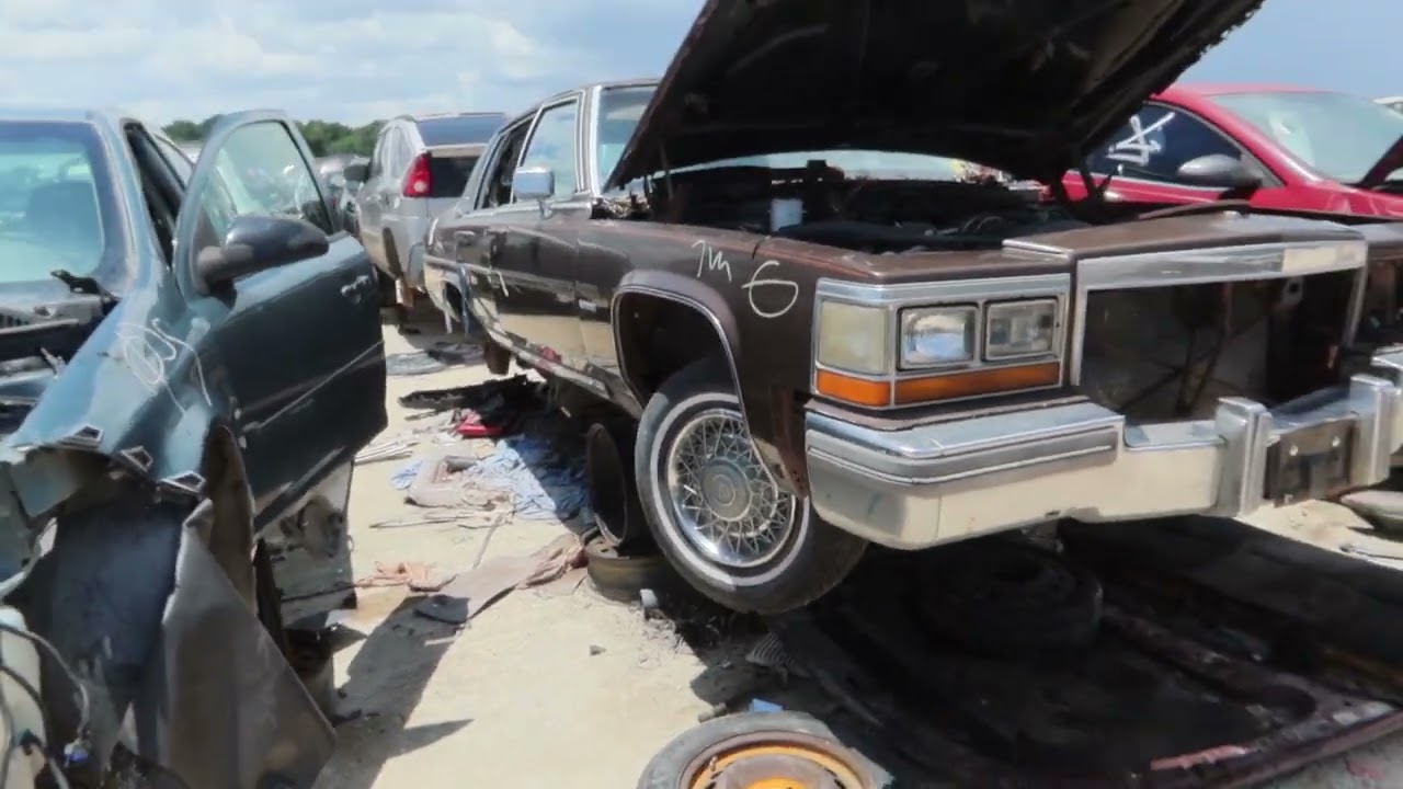 CADILLACS BOXCHEVYS AND MORE! ALL ROTTING AWAY...