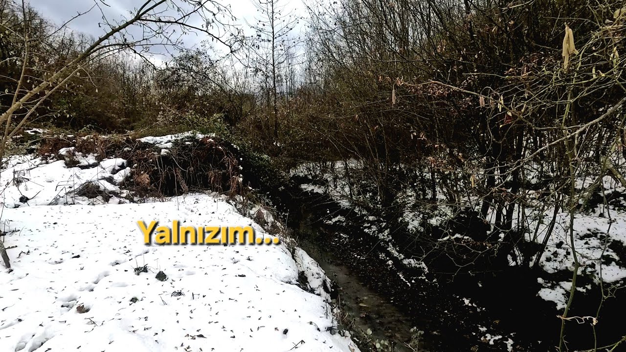 Karlı Ormanda Yalnız Yürüdüm | Sessizlik Bazen Korkutucu