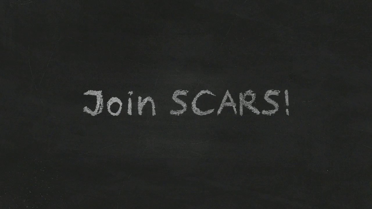 Join SCARS - the Society of Citizens Against Romance Scams