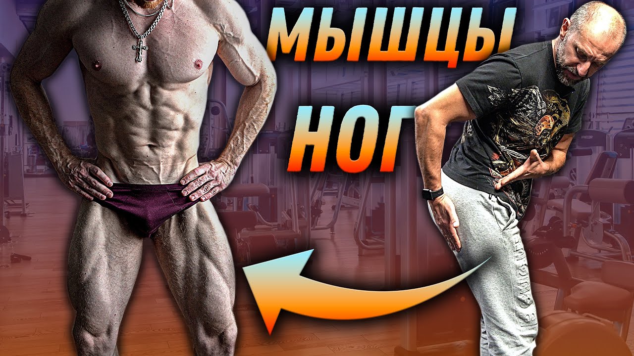 Ноги! ТОП упражнений. Научный подход