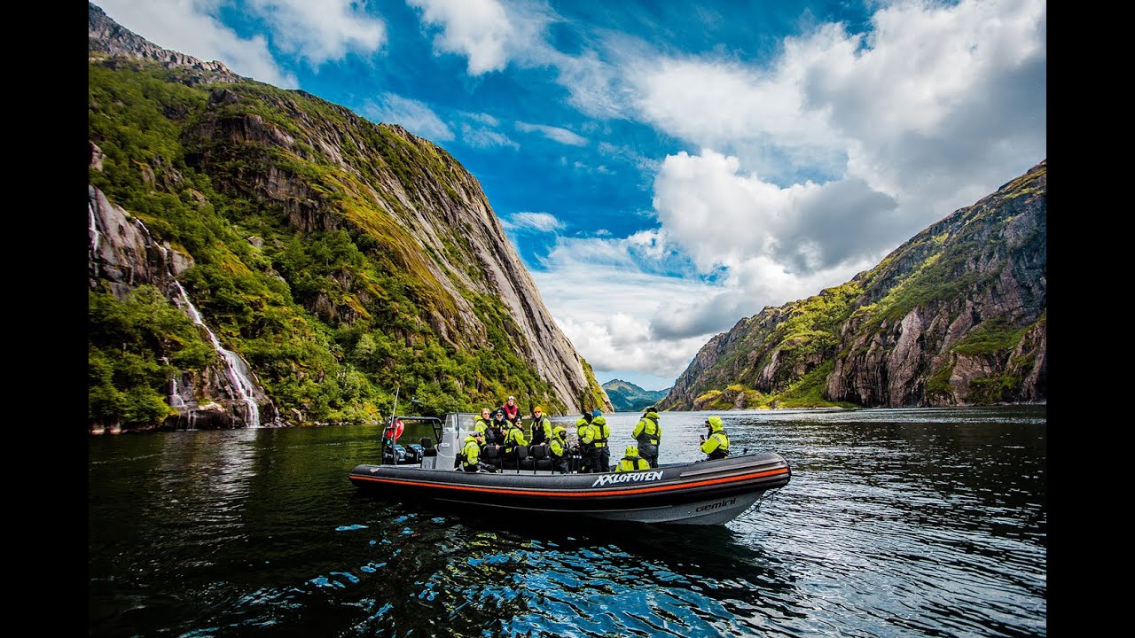 Sea eagle safari to Trollfjorden - long version