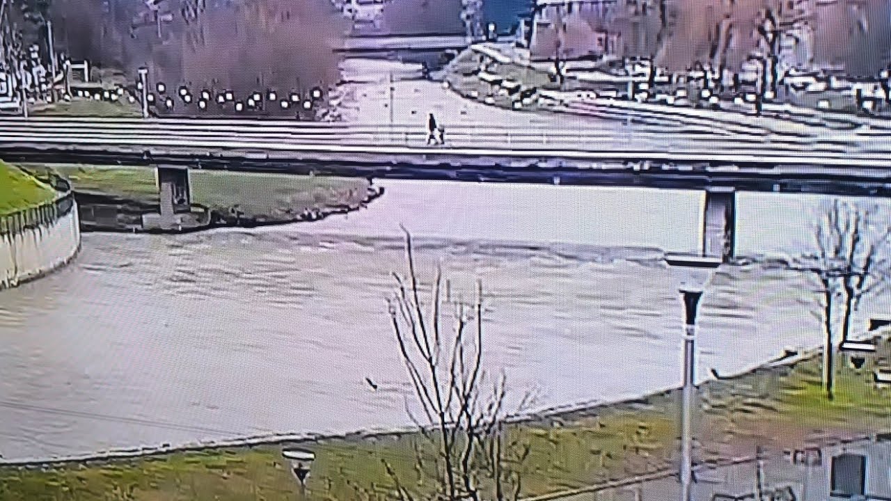 Zima prolazi razne ptice dolaze sa juga