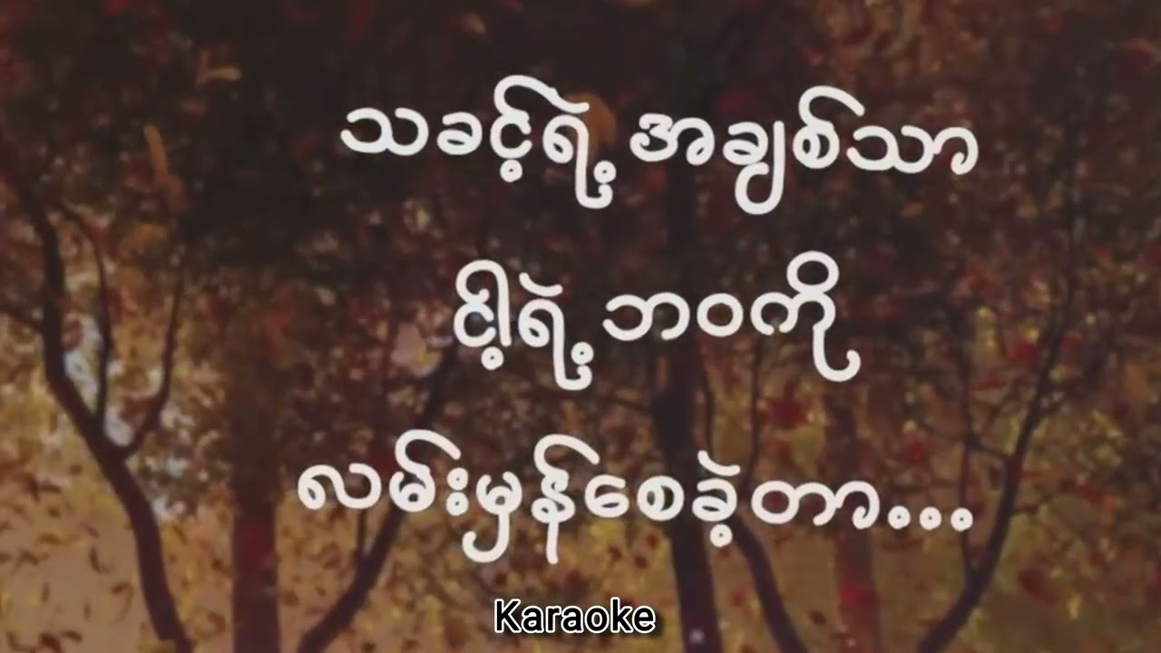 “ အခွင့်ထူးခံ ”  Karaoke 🎤🎶