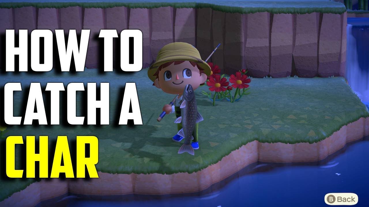 How to Catch a Char | Char ACNH | Char Animal Crossing New Horizons | ACNH Char | ACNH Rare Fish