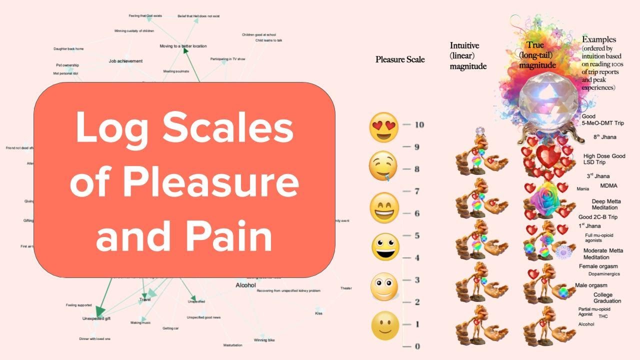 Logarithmic Scales of Pleasure and Pain (@Effective Altruism NYC)