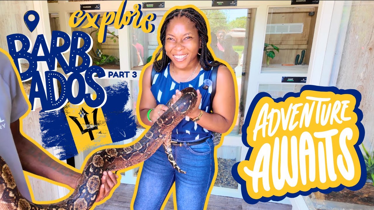 Exploring Barbados 🇧🇧 | Graeme Hall Nature Sanctuary, Holding a BOA 🐍 & FIRST Starbucks Experience!