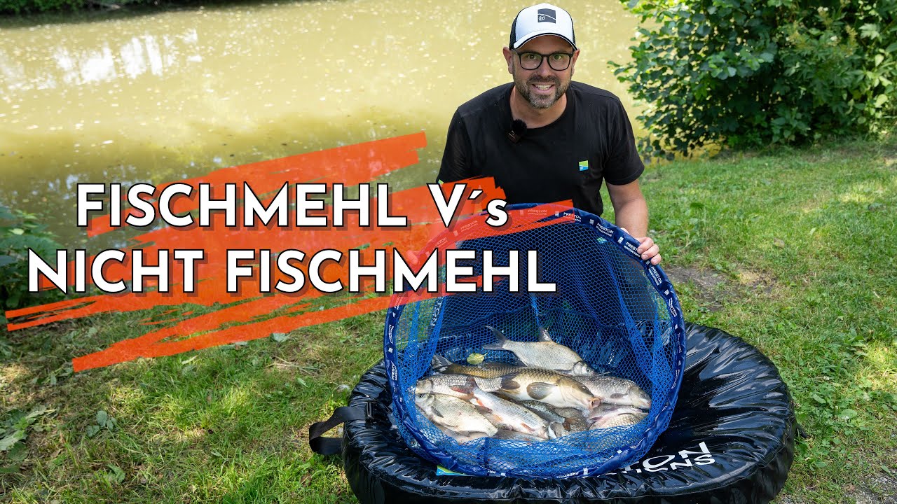 Grundfutter - Fischmehl oder ohne Fischmehl?