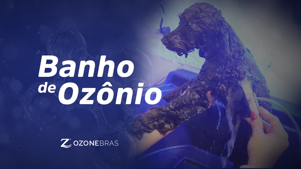 Banho de Ozônio para Pets