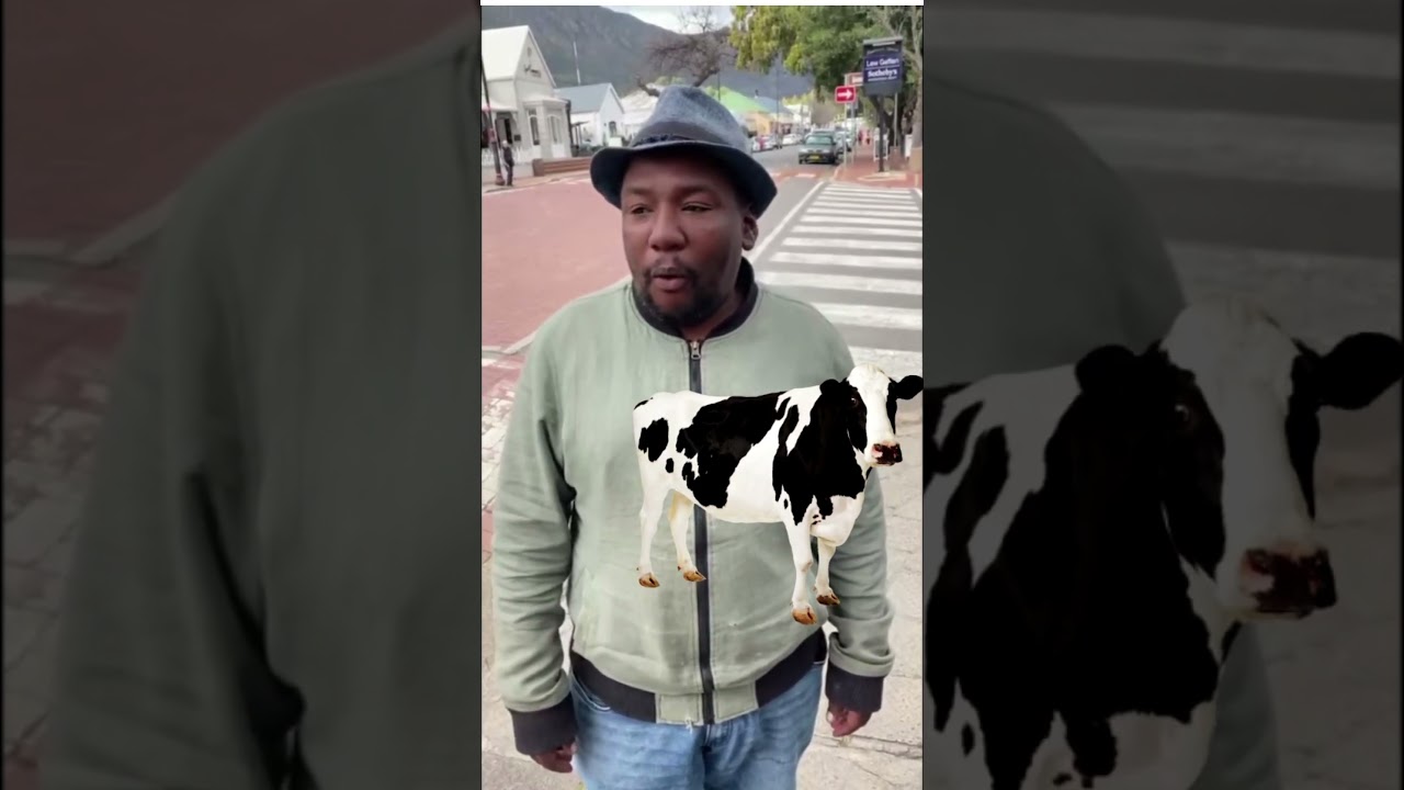 O MELHOR IMITADOR DE ANIMAIS #shorts