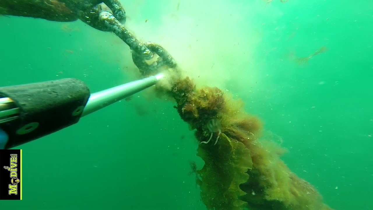 Cavi Jet and Cavi Gun systems remove a marine growth