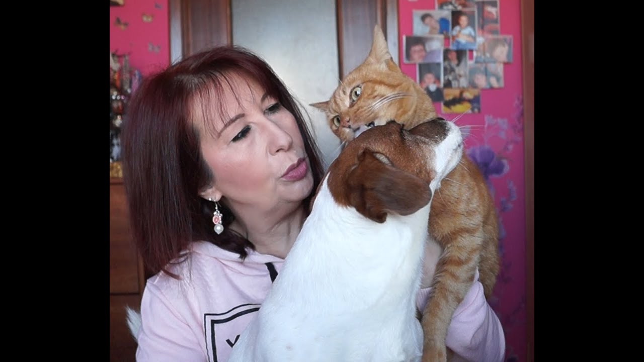 Acquisti a Milano - saldi (terzo video)