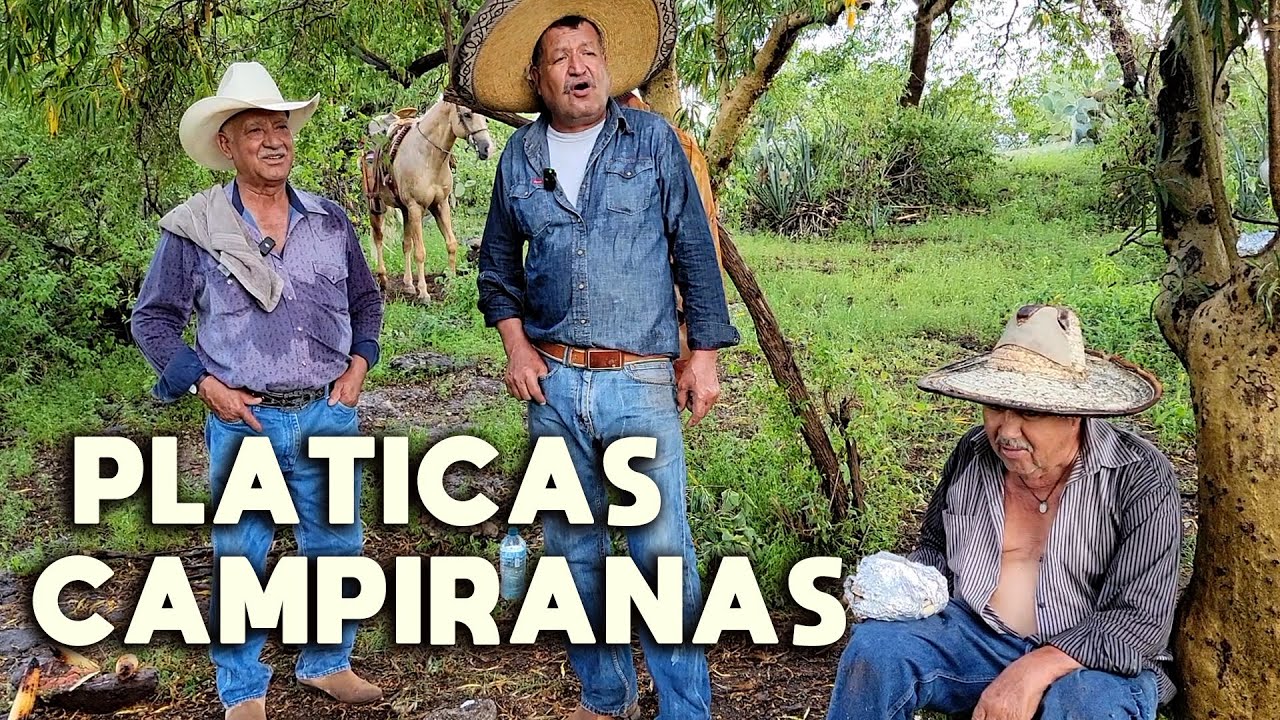 EL SABROSO CHILE EN PIEDRA | Manuel el compositor