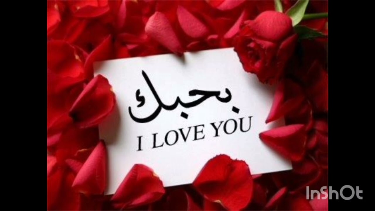 هيتجنن ويبقى معاكي ❤️بيحبك موووت موووت ❤️بيتمني يتجوزك❤️🌹❤️