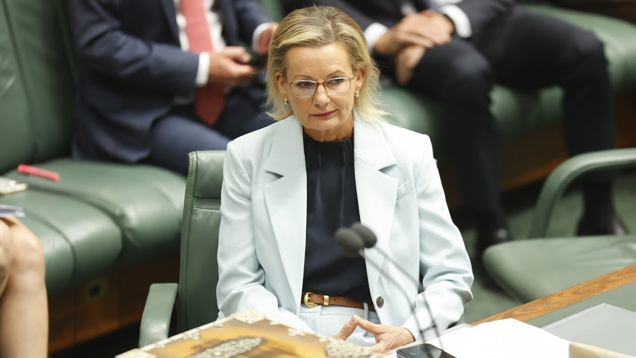 &lsquo;Broken woman&rsquo;: 200 SA Liberals quit in protest of Sussan Ley&rsquo;s &lsquo;weak leadership&rsquo;