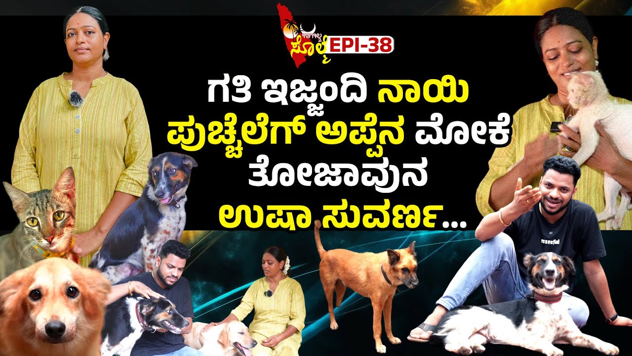 EPI-38 : ರೋಡ್ ಸೈಡಿತ್ತಿ ನಾಯಿ ಪುಚ್ಚೆಲೆನ್ ತನ್ನ ಜೋಕುಲೆರ್ದ್ ಜಾಸ್ತಿ ಮೋಕೆ ಮಲ್ಪುವೆರ್ ಉಷಾ ಅಕ್ಕ.. | #dog #cat