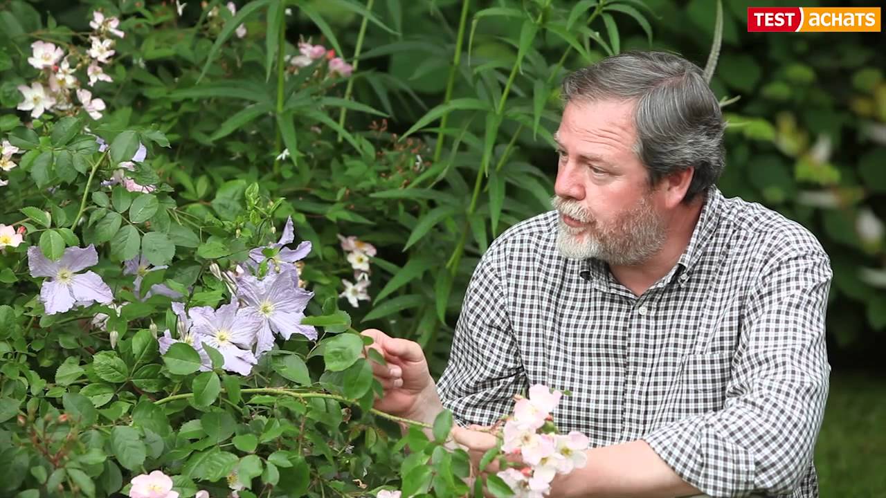 Jardinez vert avec Luc No&euml;l
