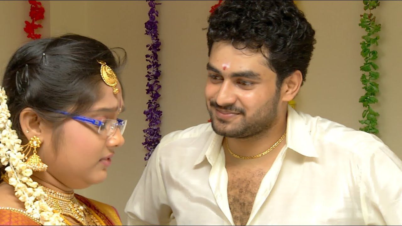 Priyamanaval Episode 260,  27/11/15