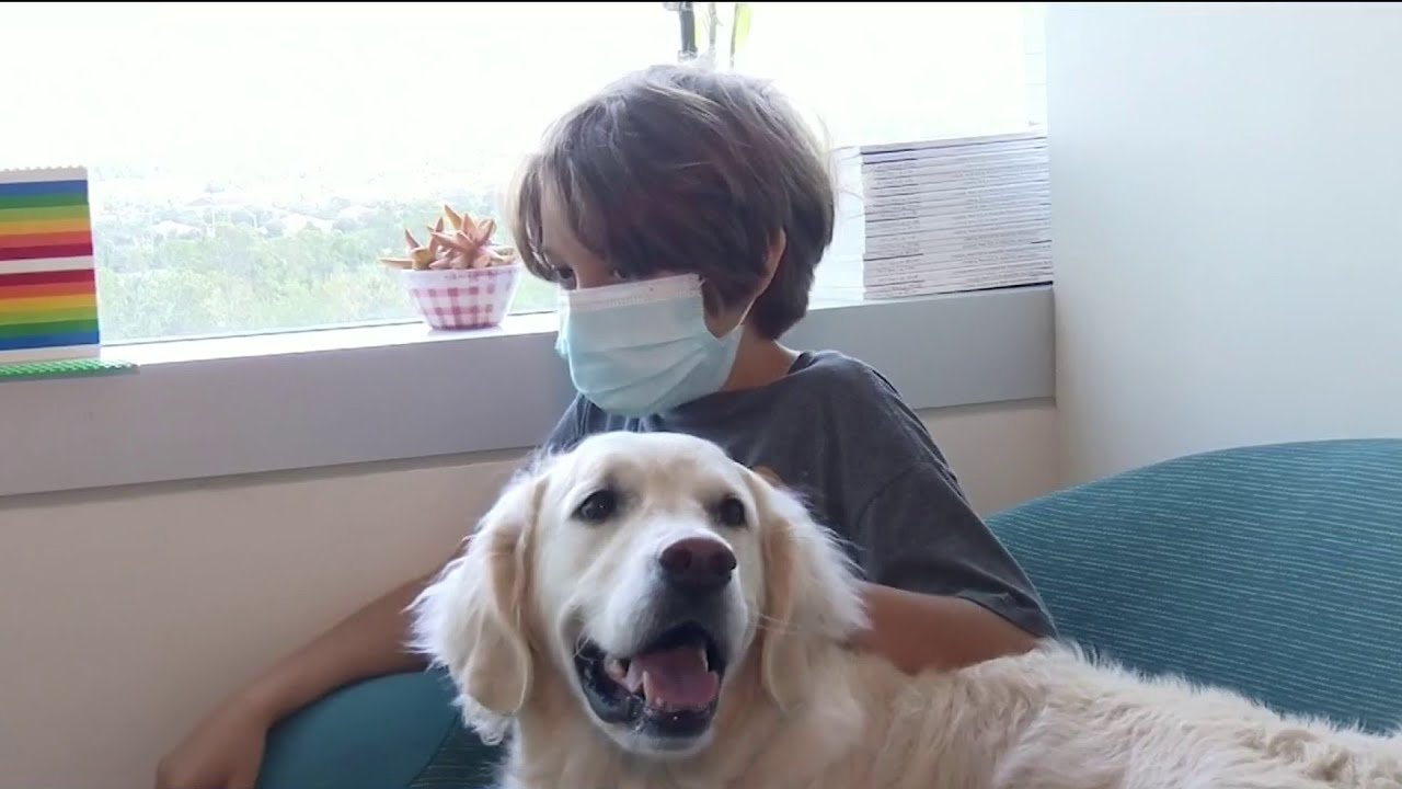 Therapy dogs provide extra help for kids struggling with mental health