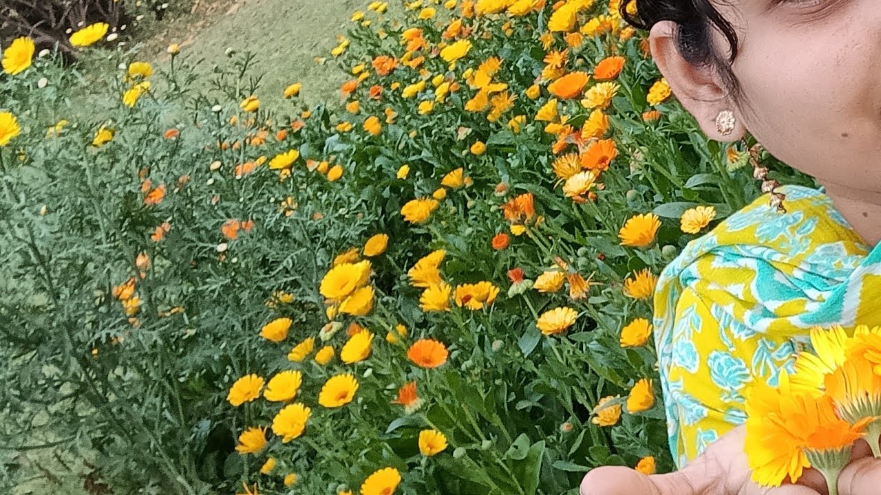 good evening friends