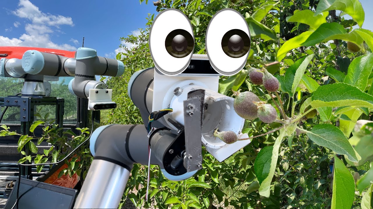 Green Fruit Thinning System - Penn State Extension (FREC)