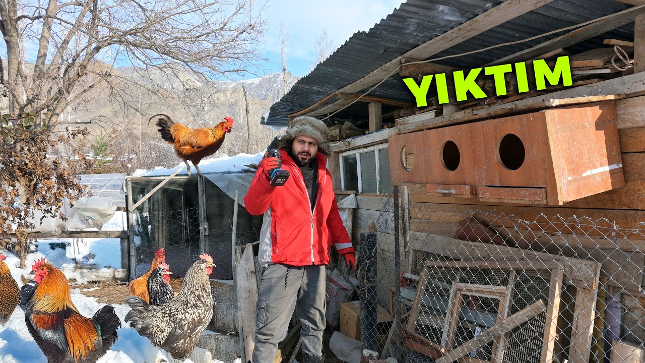 Yaptığım Folluğu Yıktım - Çiftlik İşleri - Tavuk Sesleri Arasında Huzur Dolu Ambiyans