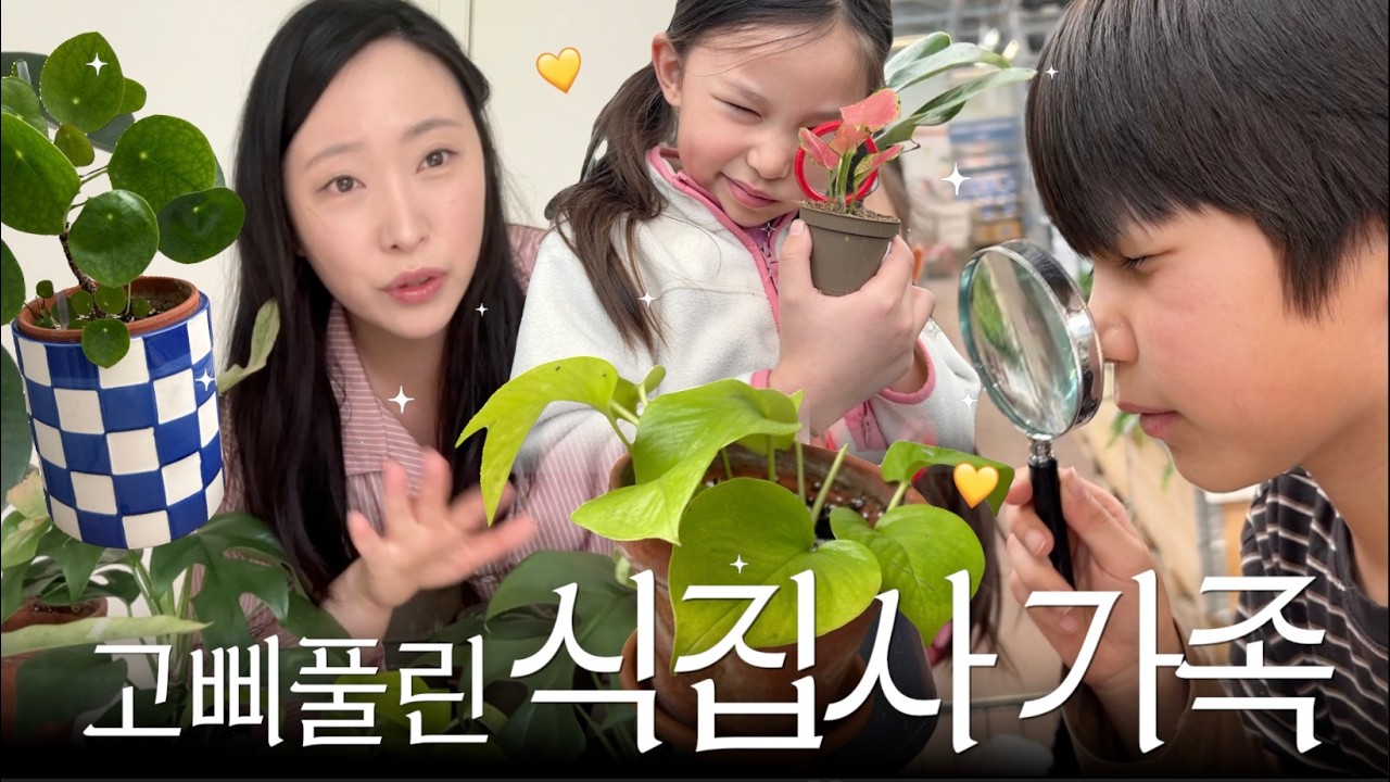 🇸🇪 vlog. 식물에 미친 여자의 고삐풀린 식물 쇼핑 🪴 길거리 와플 황금 레시피┃분갈이 꿀팁✨ 식집사 브이로그