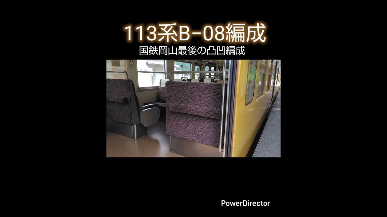 【独特なドア閉まり】113系B−08編成に乗る動画