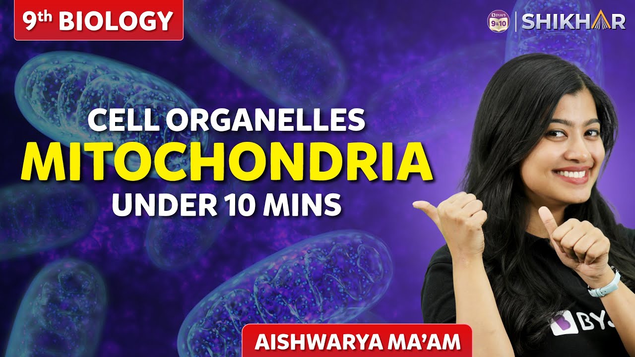 Structure and Function of Mitochondria | Class 9 | Fundamental Unit of Life | SHIKHAR 2024