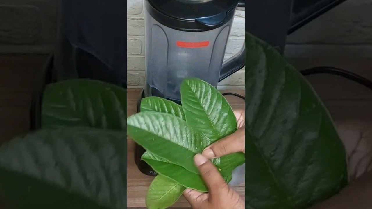 shampoo Bomba de folha de goiabeira #comofazer #shampoobomba