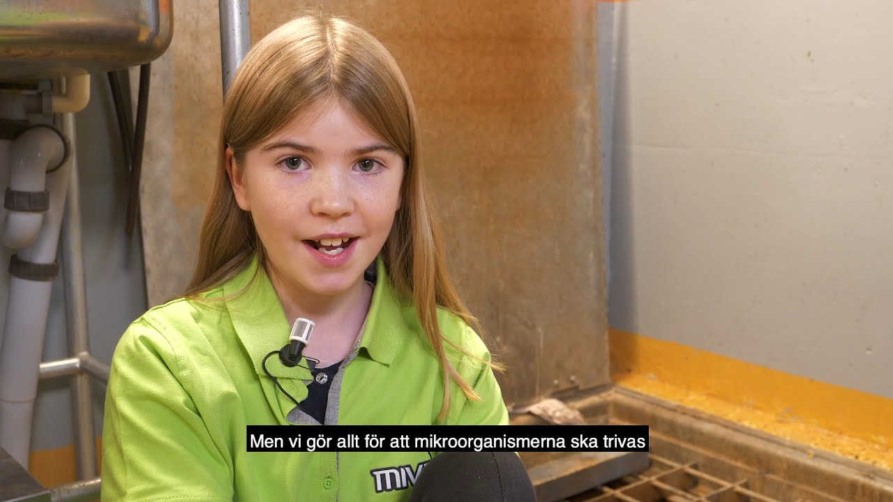 Så renas avloppsvatten och så fungerar ett avloppsreningsverk