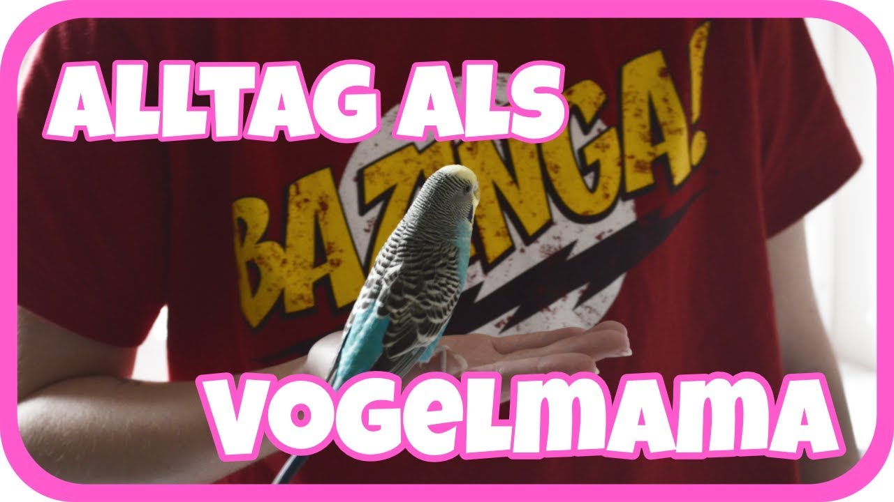 Alltag als Vogelmama🐥😍 Daily Vlog 31.03.2019