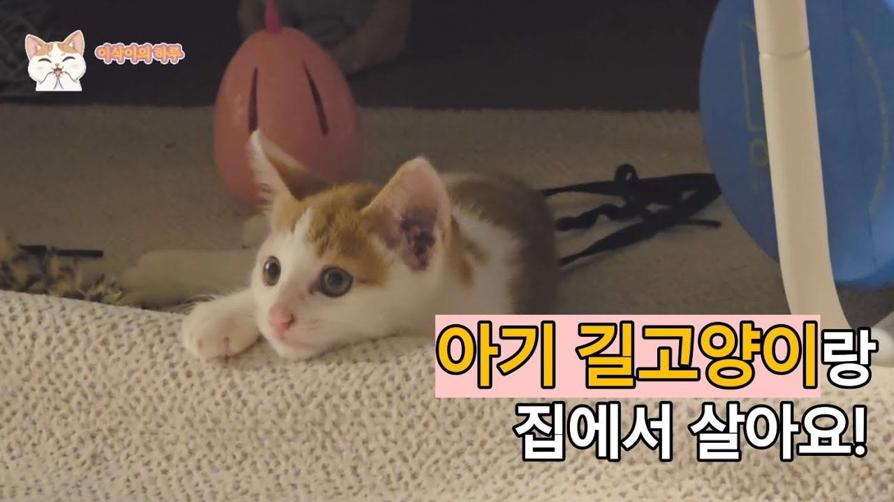 [이삭이의 하루]2.모든것이 낯설어요!