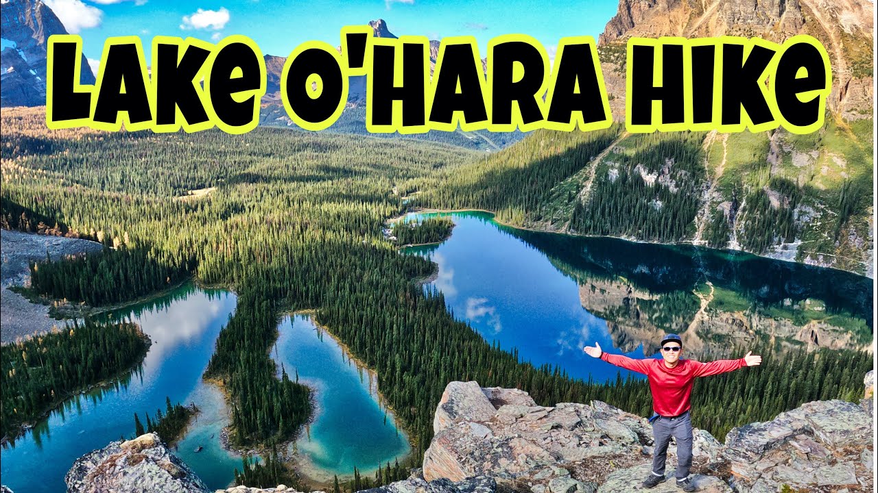 Lake O'Hara hike (Opabin Plateau)