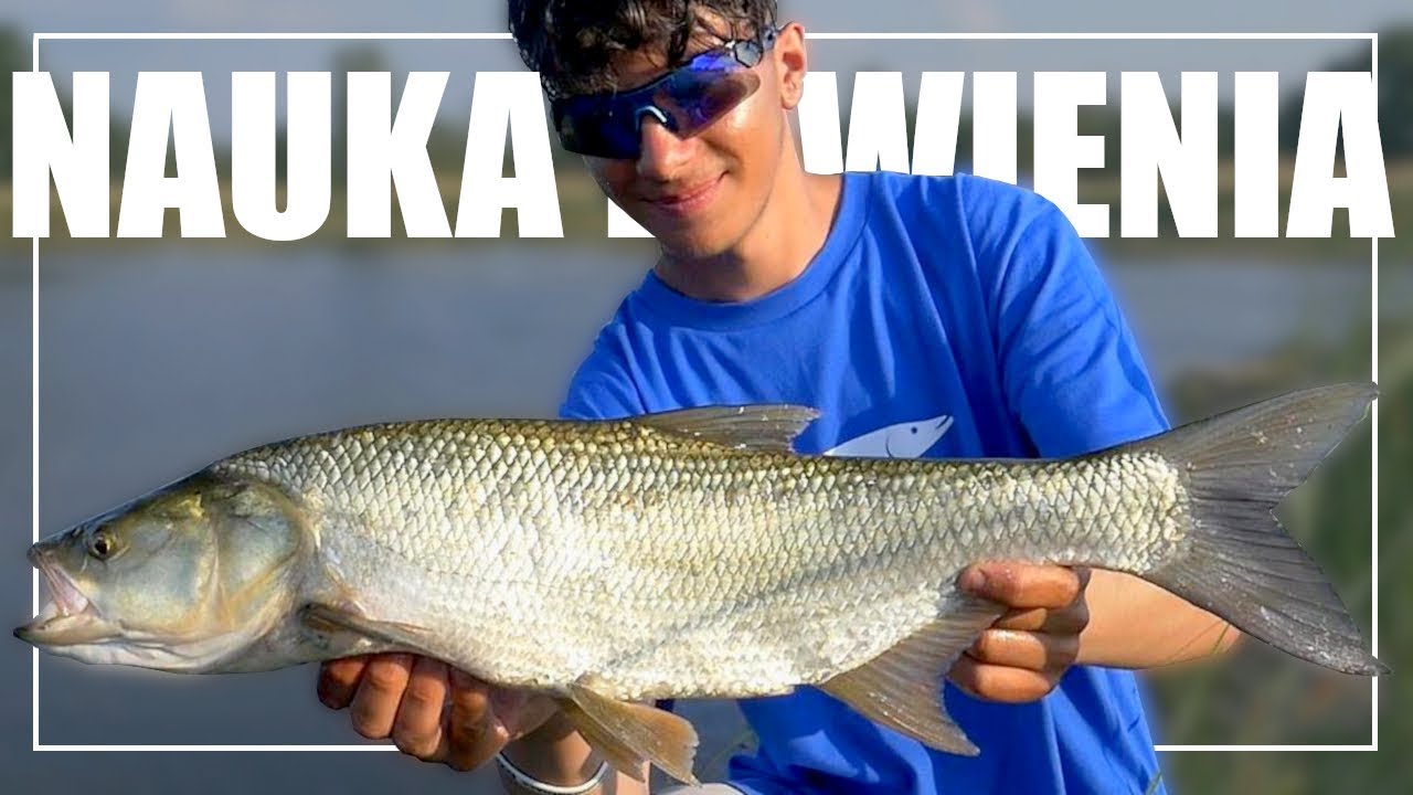 NAUKA ŁOWIENIA BOLENI I KLENI NA SPINNING | Odra Trip