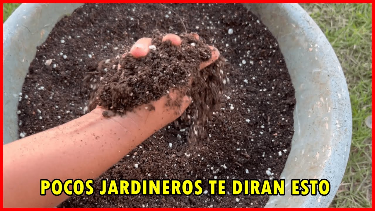 Este sustrato pocos jardinero te enseñaran a prepararlo