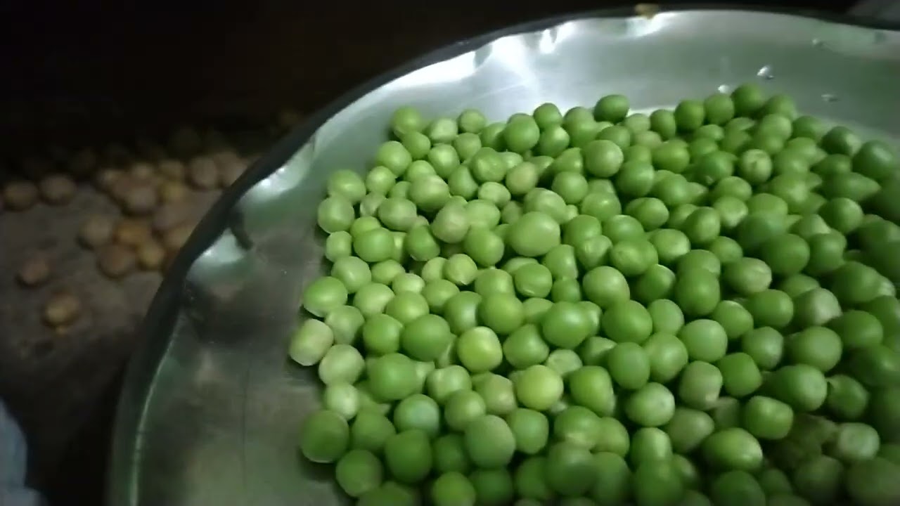 February 19, 2026 matar Dal ke khichdi ♥️🤤🧑‍🍳🧑‍🍳