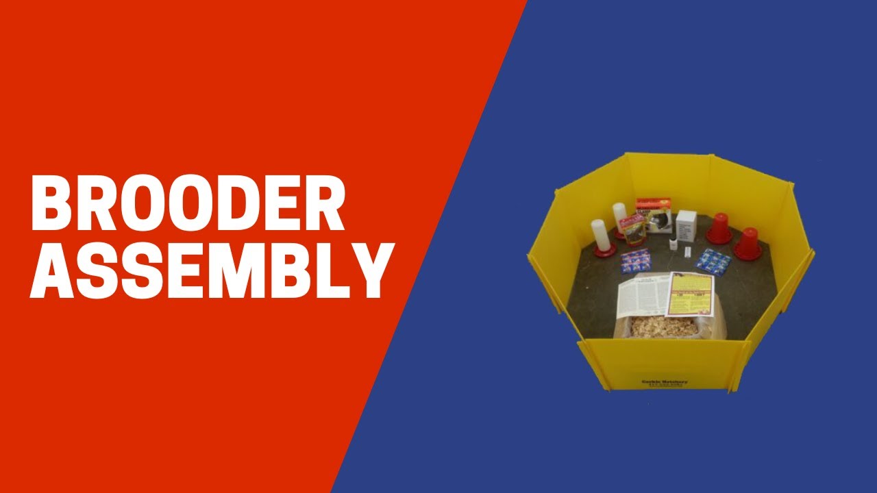 Starter Brooder Assembly Instructions (part 1) - Cackle Hatchery